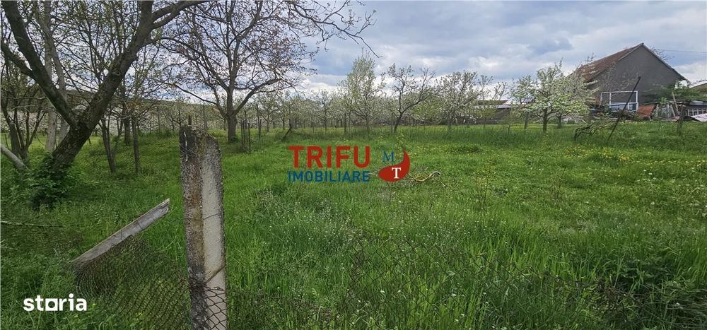 Casă veche + teren 3100 mp | Galda de Jos | Acces râu