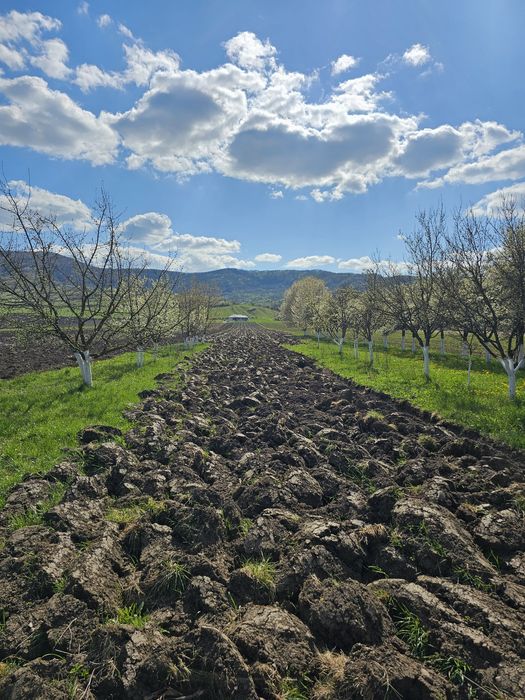 Teren de vanzare in localitatea Arcalia, BN!