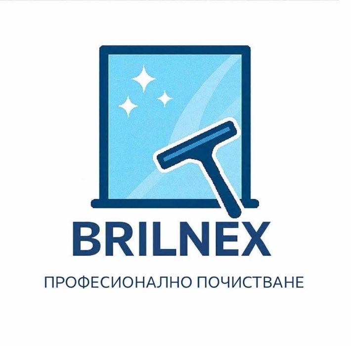 Професионално почистване