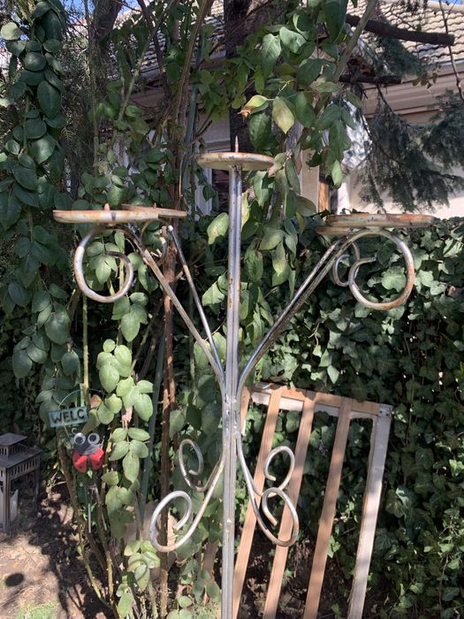 Sfesnic 5 brate evenimente sau decor