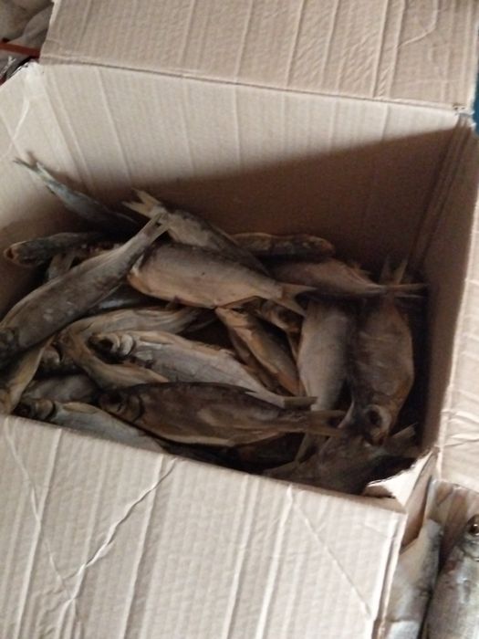 Рыбец майлы кепкен сатылады