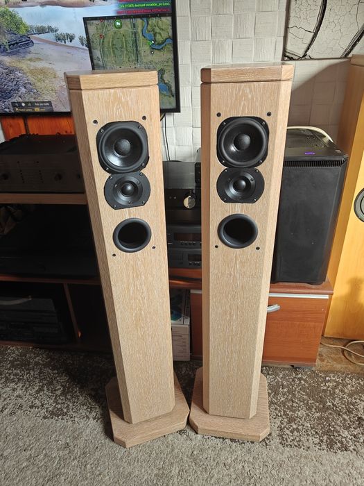 T+A  pulsar tas 1200e ( schimb) boxe podea , super sunet