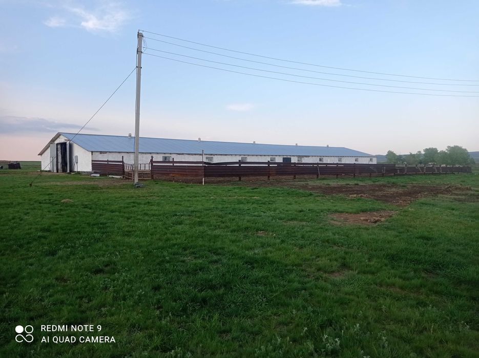 крестьянское хозяйство