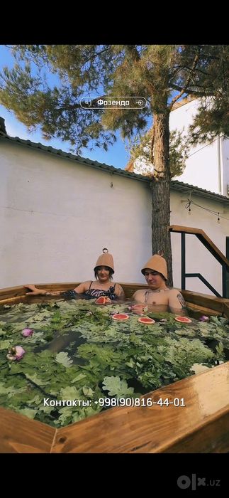 Дача  в Ташкенте  для двоих