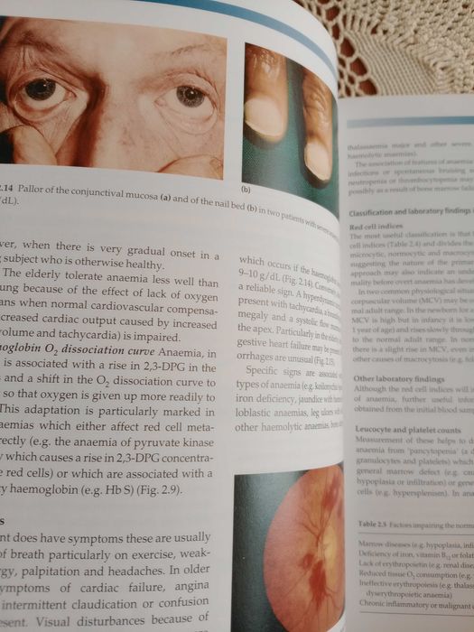 Учебник Haematology