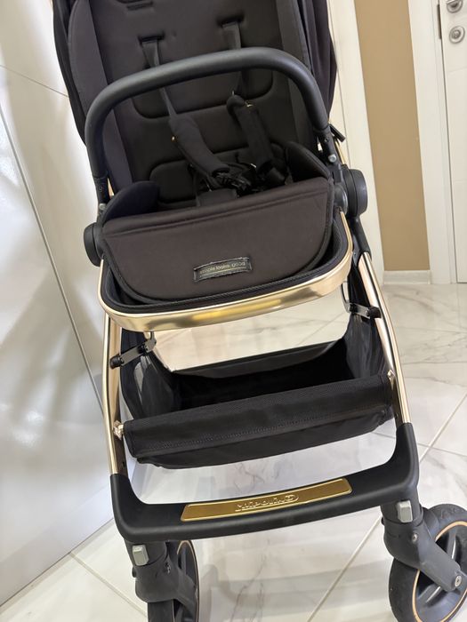 Chipolino elite
