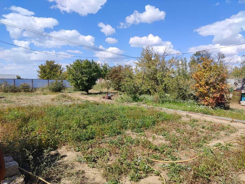 Дача 10 соток в Алмалы Авиатор