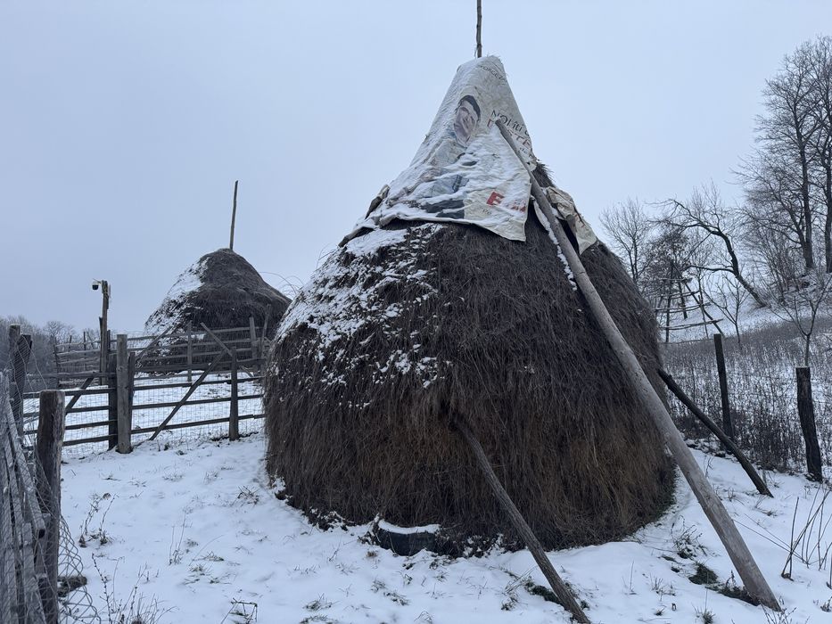Baloti si fân calitate foarte bună