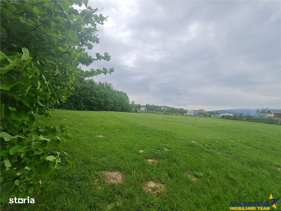 FILM! Oaza paradisiaca cu lac, vedere catre Bucegi, Glajerie Rasnov, p