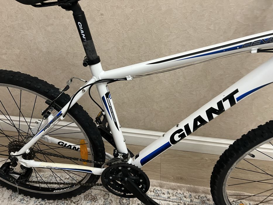 Велосипед Giant Revel  ( centurion trek cube author scott