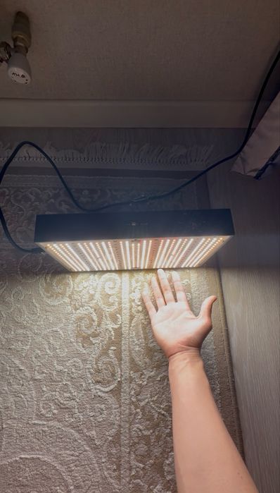 Фитолампа  150вт