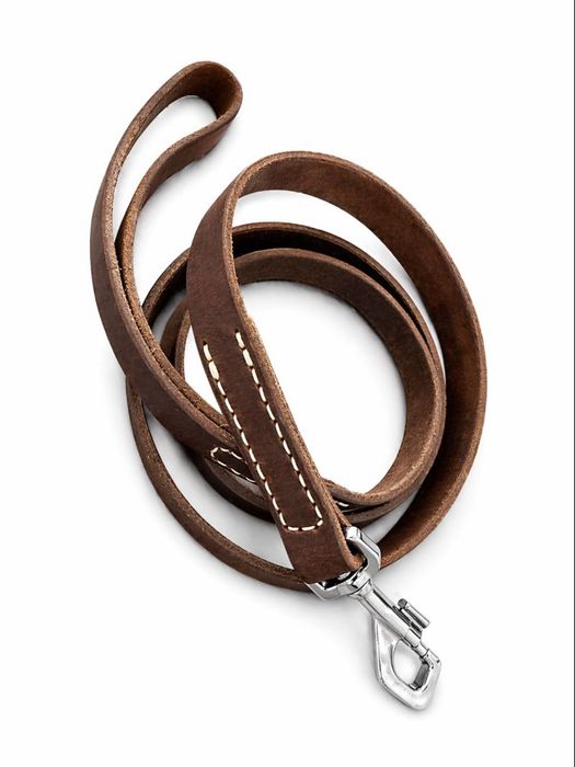 Lesa piele ptentru caini