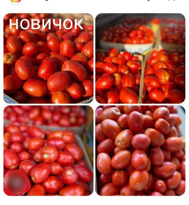 Рассада продается
