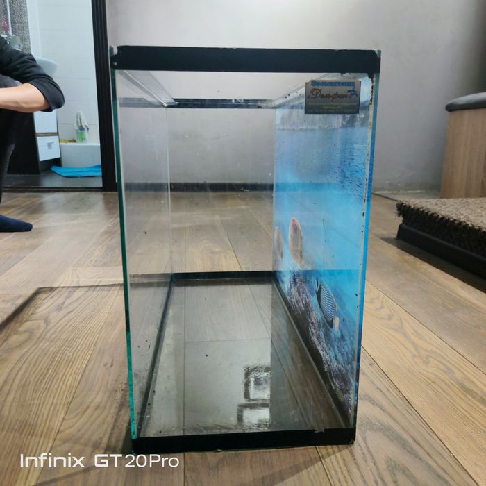 Продам аквариум не меньше 5500