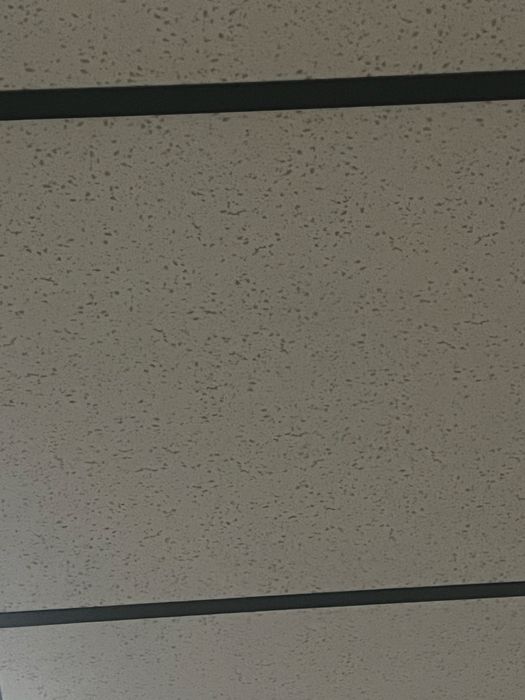 Окачен таван PVC