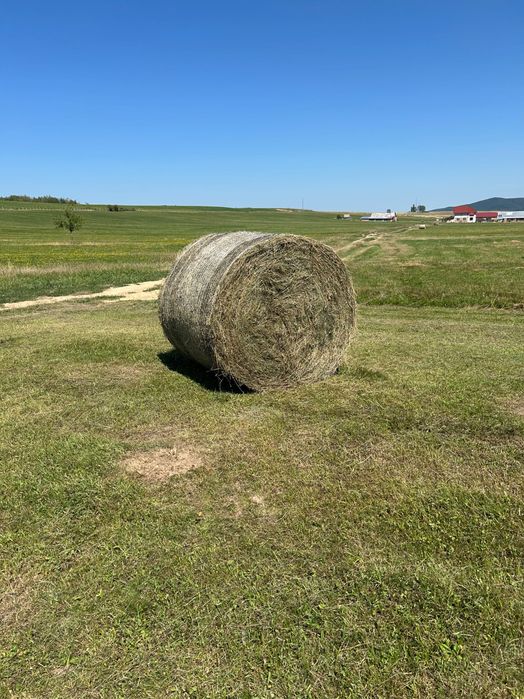 Baloți rotunzi de fan