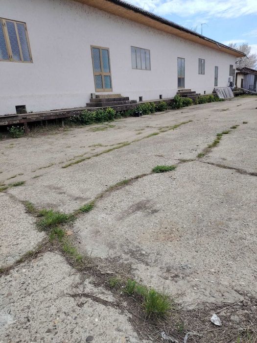 Vând Hală în Roman!