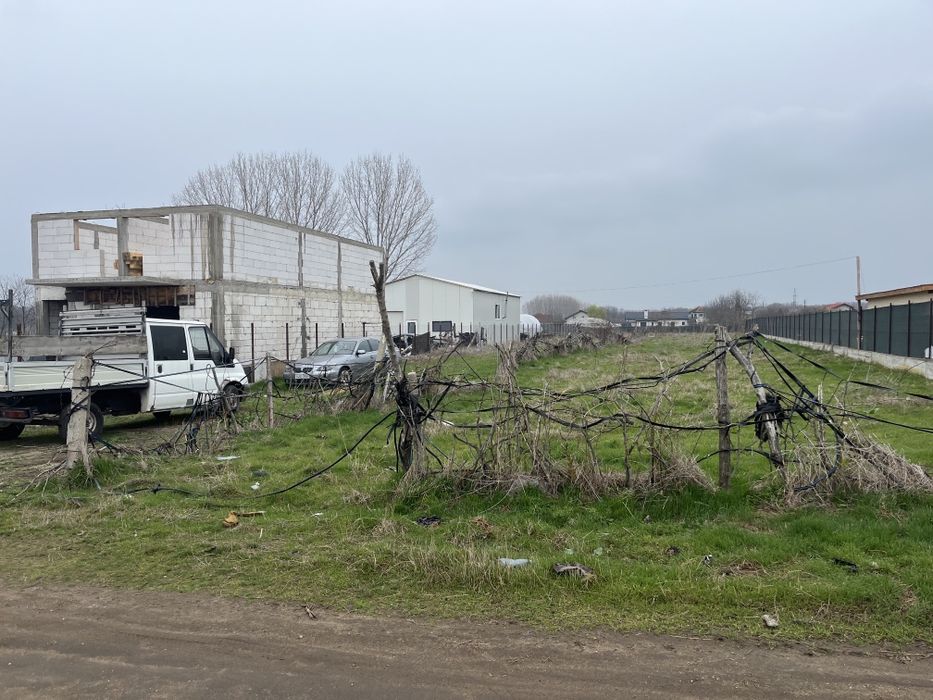 Teren intravilan Nanov - intrare Alexandria