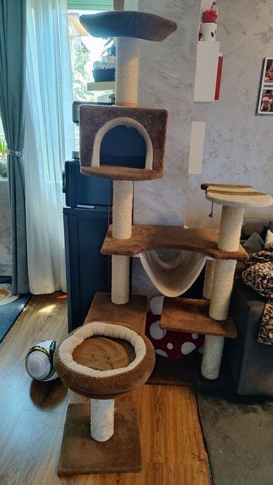 Катерушка за котка