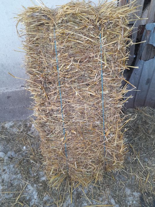 Vând baloti sau schimb cu vițel înțărcat