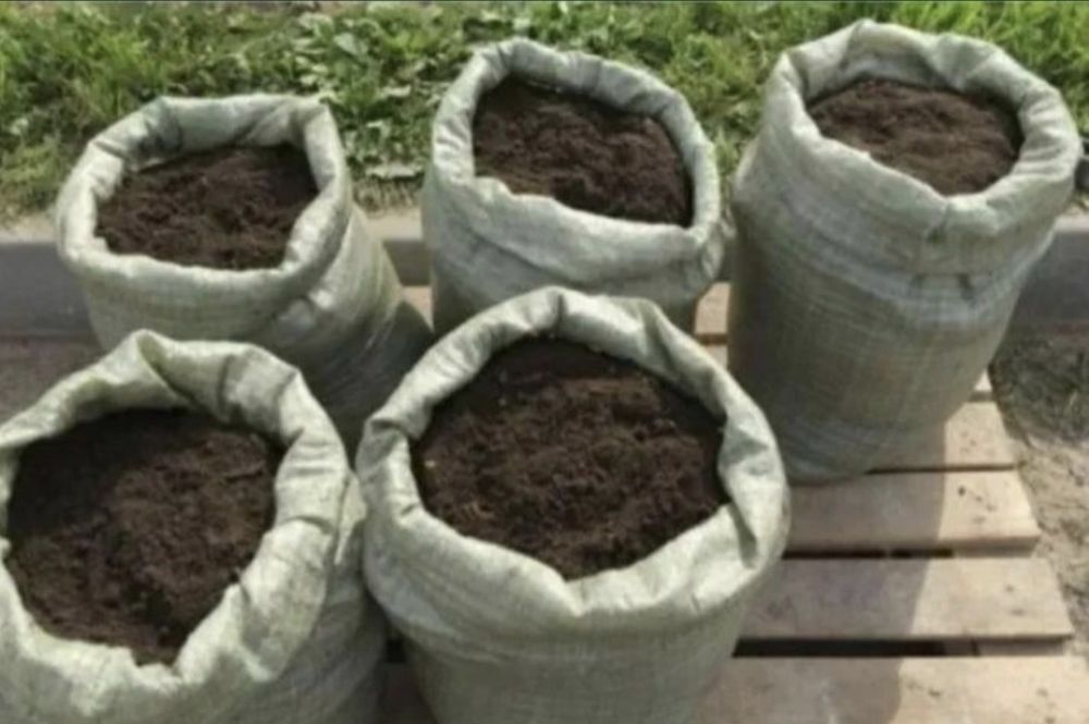 Перегной навоз чернозем к