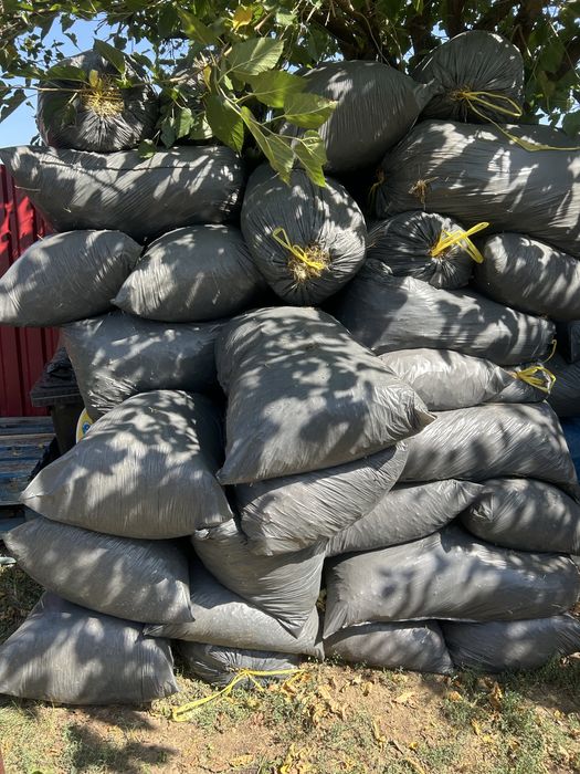 Donez gunoi de iepure