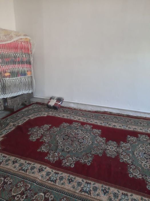 Уй сатылады. Шекербұлақ ауылы.