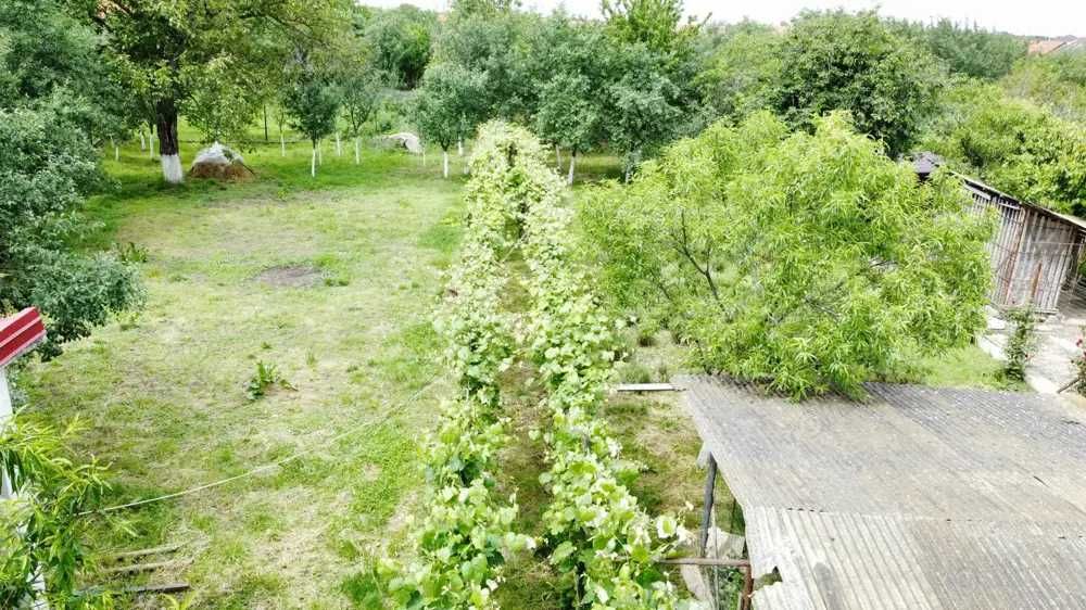 Casă în Coșteiu, teren 1500 mp, la pret de apartament in Lugoj