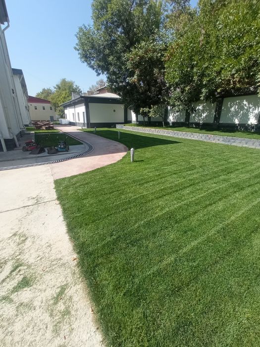 Газоны Полиной система ландшафтный дизайн