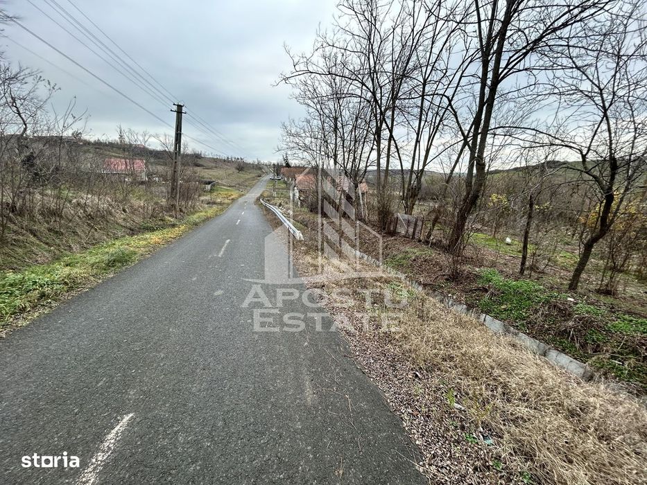 Teren 3920 mp, de vanzare, ideal casa de vacanta, Herneacova.