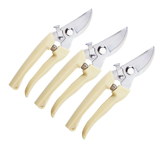 Секатор   800 теңгеден