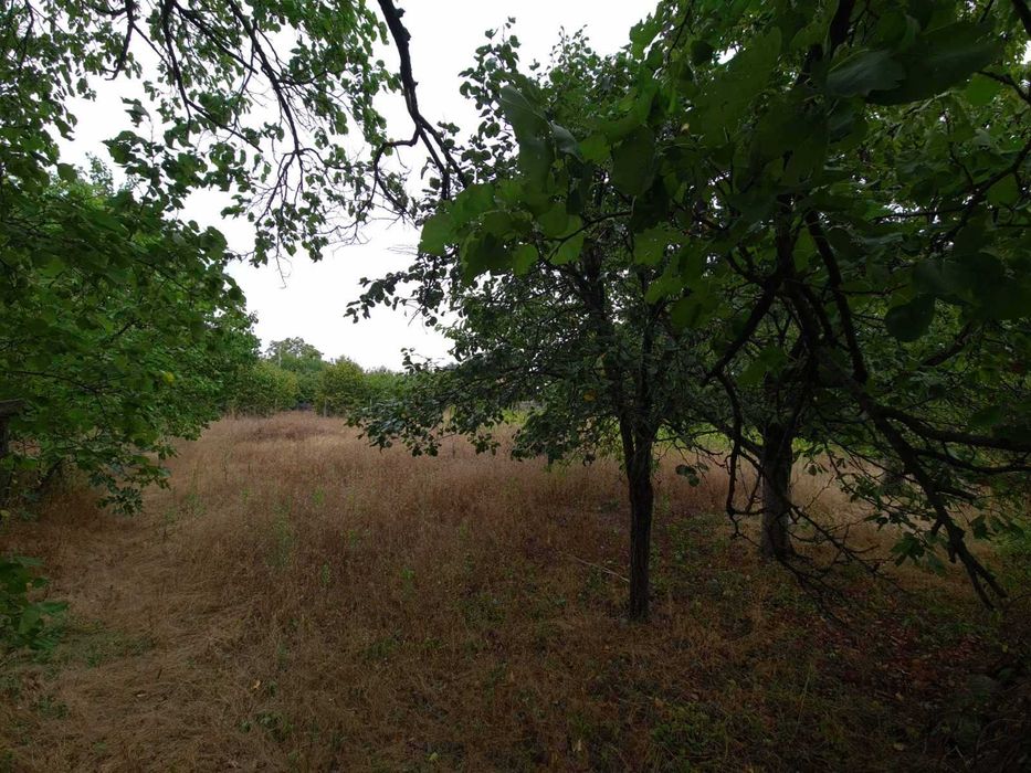 Продава се Къща в с. Червен, Област Пловдив - 50 кв.м за 980 €/кв.м - Снимка #5