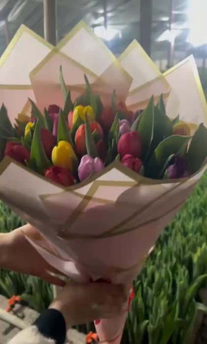 Тюльпаны по оптовой цене в розницу..