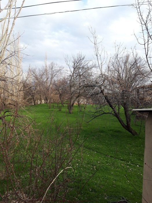 Буш ер участкаси