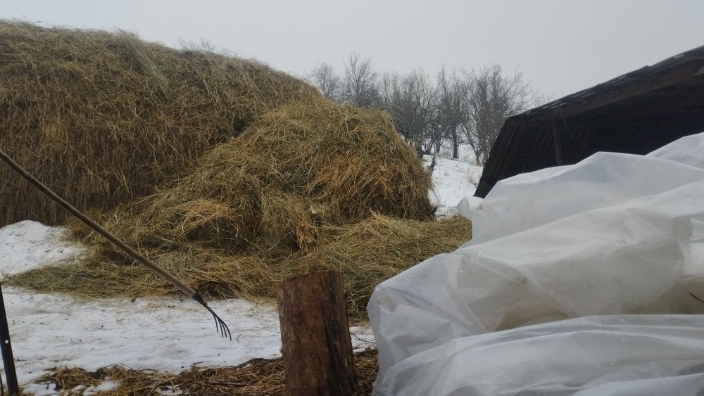 Сено ,скирда, в Алмате
