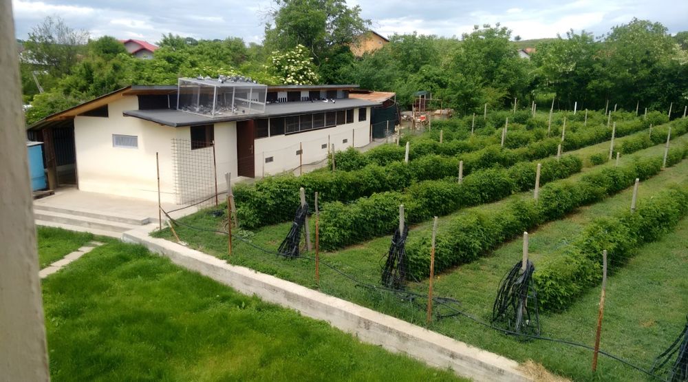 Casa Garaj cu teren de vânzare