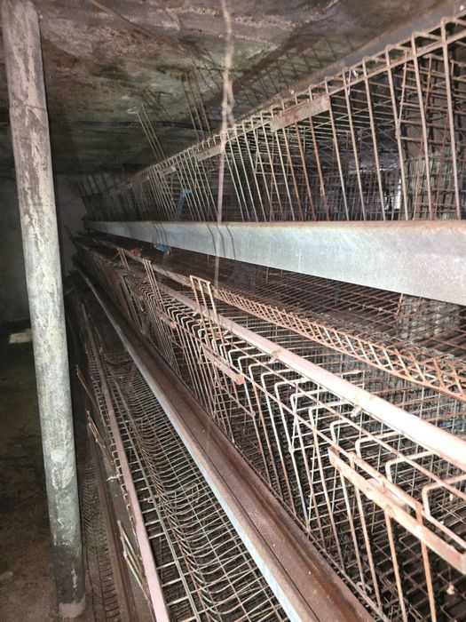 Клетки за отглеждане на кокошки носачки.