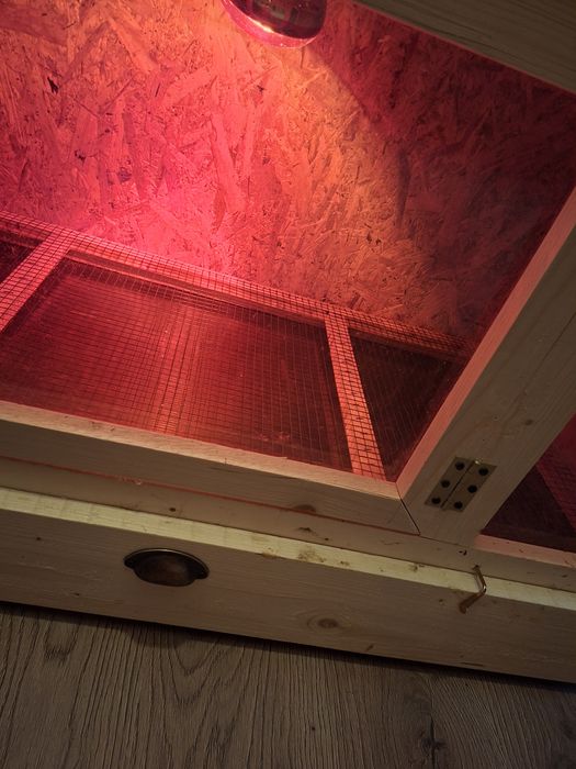 Maternitate pui,125/65