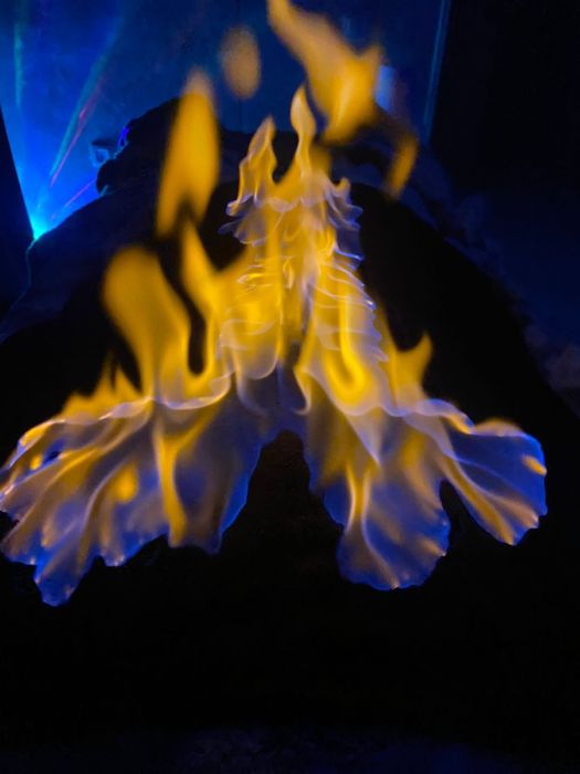 Профессиональный массажист Ера