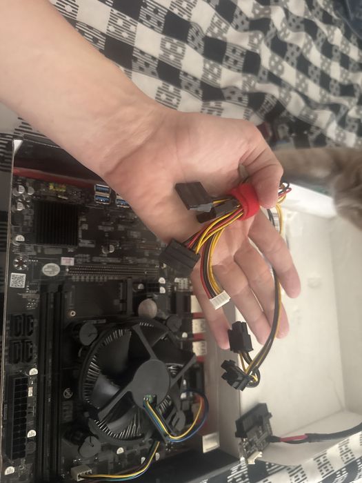vand placa de baza plus hp ul