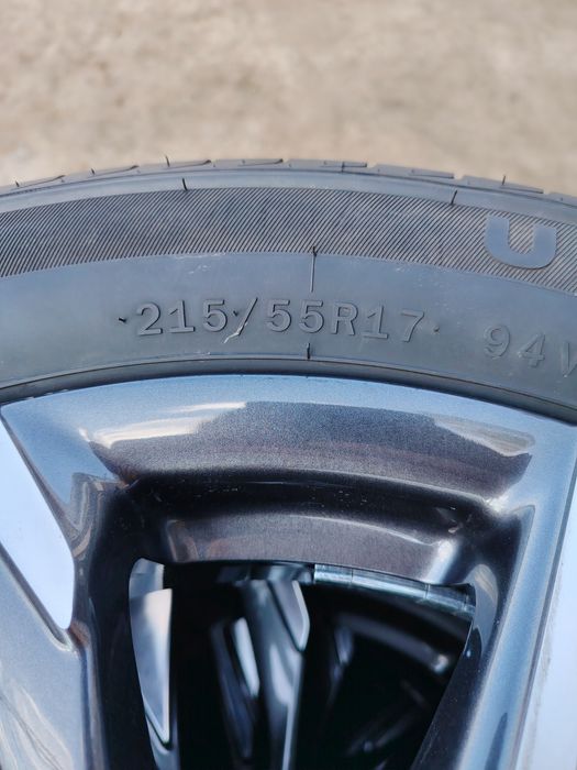 Tracker primier diskasi balonlari bn sotiladi