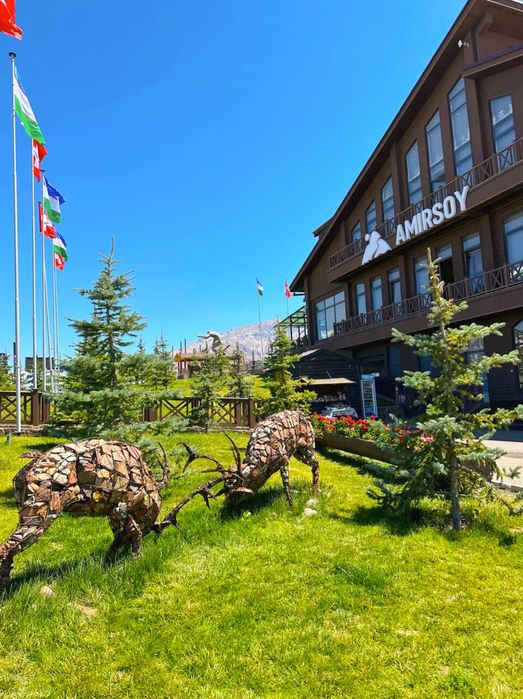 Поездка в горы, Самарканд. Гид. Туры. Микроавтобус Hyundai, электрокар