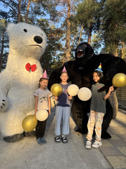 Аниматорные костюмы