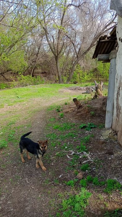 Продам Частный дом