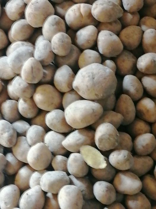 Продам картофель сорт гала
