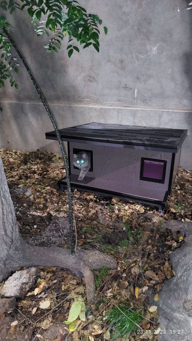 Делаю домики   для уличных кошек