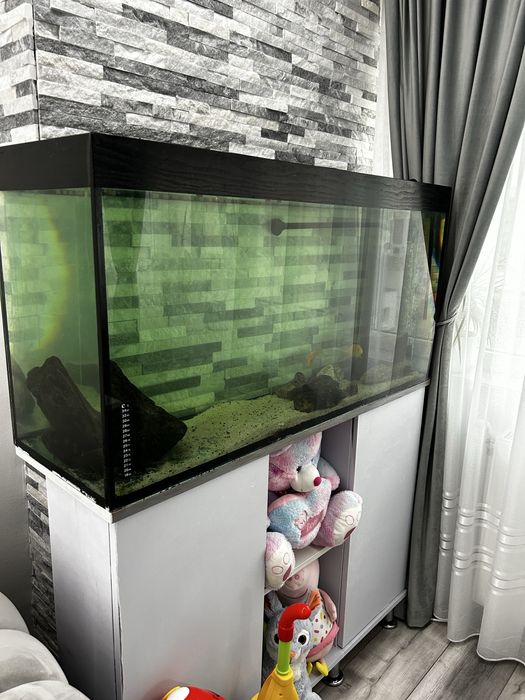 Vand acvariu mare, circa 180L cu toate accesorile.