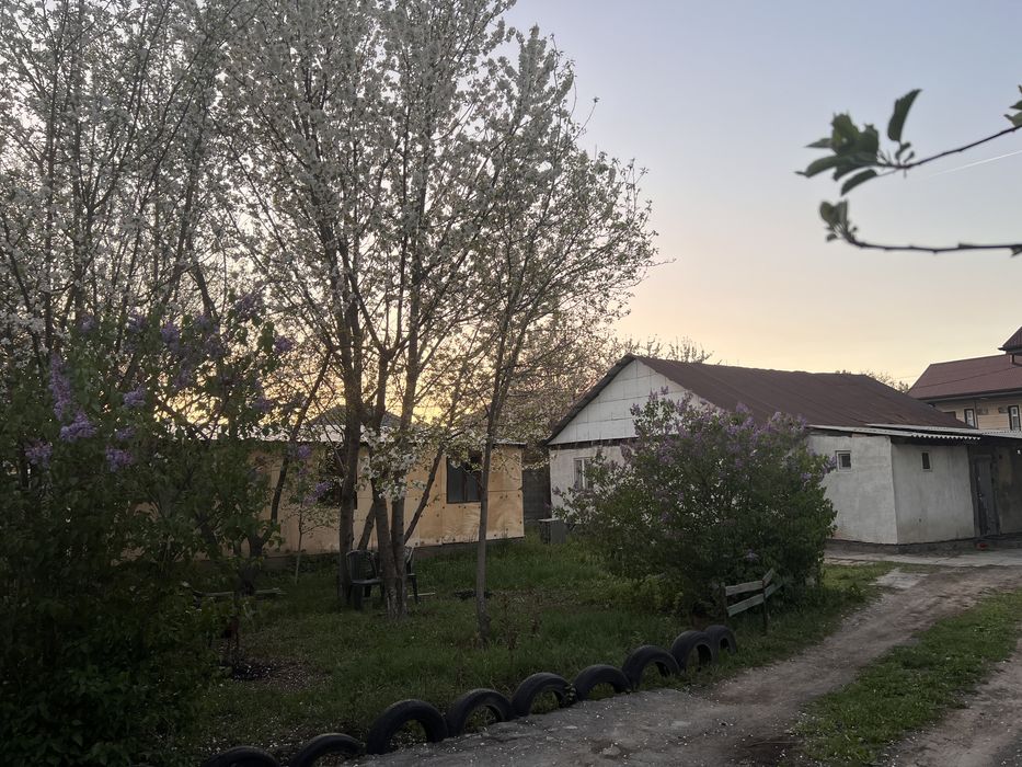 Продается дом с участком