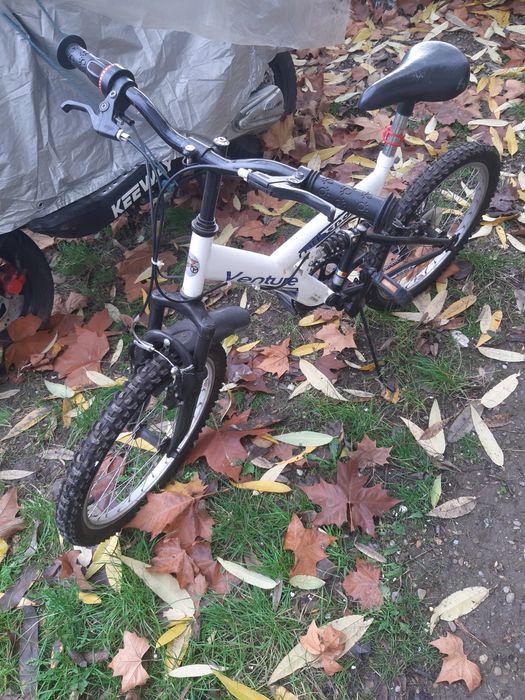 Când bicicleta Pegas