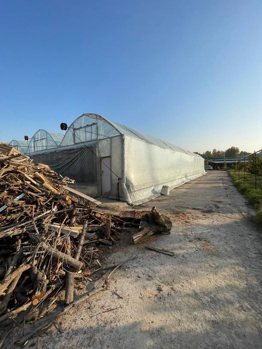 Teplitsa sotiladi hamma sharoit bor